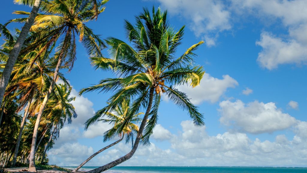 Comment la location d'une voiture facilite vos vacances en famille en Martinique ?